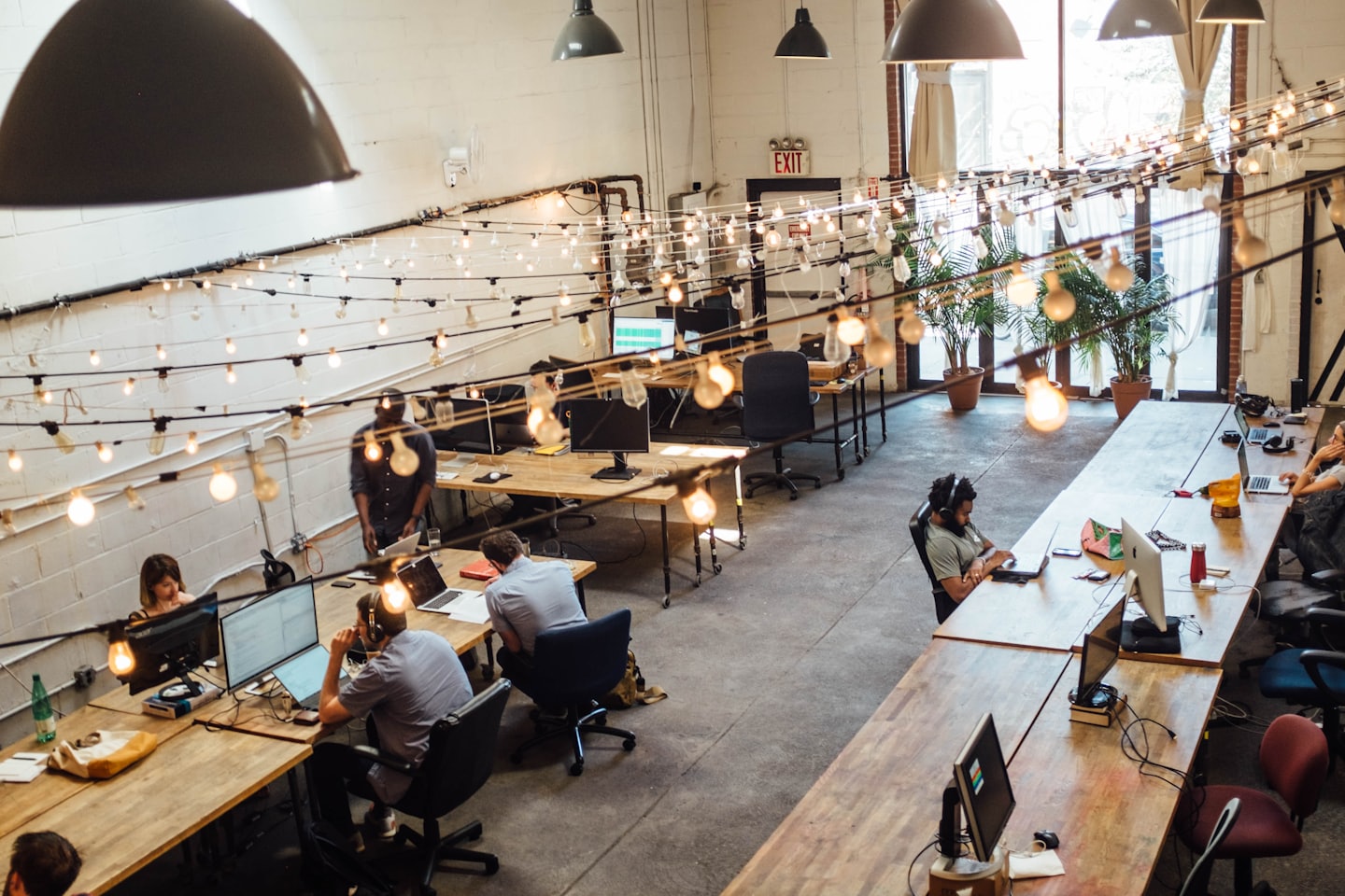 Diverse professionals working on laptops at wooden desks in a modern office.
